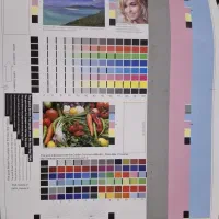 دستگاه رنگی کم استحلاک 2010|پرینتر، اسکنر، کپی، فکس|قم, هنرستان|دیوار