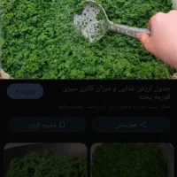 سبزی خوش عطر  تازه|خوردنی و آشامیدنی|چغادک, |دیوار