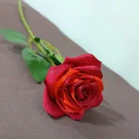 گل ربانی|گل مصنوعی|سنگر, |دیوار