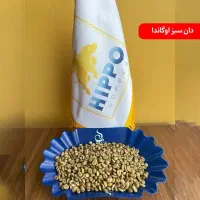 خرید دان سبز قهوه خام ( عمده )