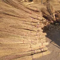 جاروی شهرداری|لوازم نظافت|یاسوج, |دیوار