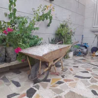 فرغون
