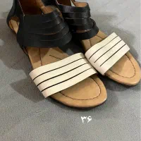 کتانی و کفش مجلسی نو|کیف، کفش، کمربند|بندرعباس, |دیوار