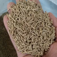 دانه سرای آذر گندم ۳۱ عمده و خرده|لوازم جانبی حیوانات|میناب, |دیوار