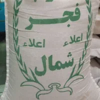 برنج فجر شمال