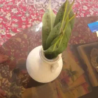 دعا و سرکتاب و تمامی امورات تضمینی|کتاب و مجله مذهبی|خرمآباد, |دیوار