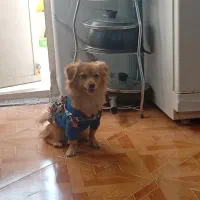 فروش قیمت 10