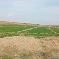 فروش زمین کشاورزی|فروش دفتر صنعتی، کشاورزی، تجاری|پلدشت, |دیوار