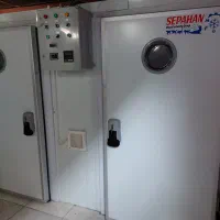 پکیج کامل جوجه کشی شترمرغ