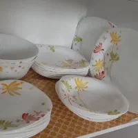 ارکوپال ۲ دست پلو ۲ عدد دیس ۲ کاسه بزرگ