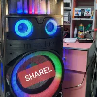 تعمیر/تخصصی میکرولب، اسپی کر ووفر /microlab