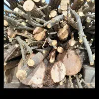 هرس وخرید چوب|خدمات باغبانی و درختکاری|بروجرد, |دیوار