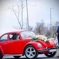 اجاره فولکس بیتل قورباغه ای برای مراسمات عروسی|خودرو اجاره‌ای|کرمان, |دیوار