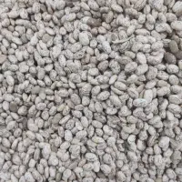 لوبیا چیتی (ارتشی)،مامونیه