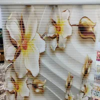 پرده پذیرایی و آشپزخانه