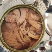 کنسرو ماهی