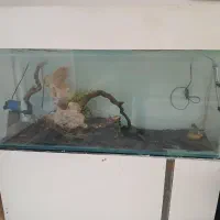 اکواریم بز رگ