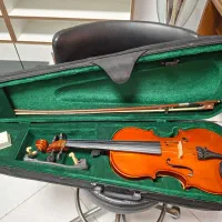 ویلون هافنر آلمانی as045 دست ساز درحد