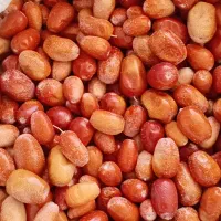 سنجد خشک شده