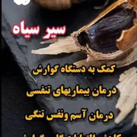 سیر سیاه اصل|خوردنی و آشامیدنی|شیراز, بهارستان|دیوار