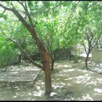 ارائه خدمات باغبانی