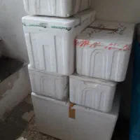 فیبر