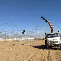 استخدام کارگرگلخانه
