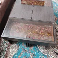 پشتی و جلومبلی و اباژور و عقاب دکوری|پشتی|زاهدان, |دیوار