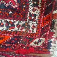 دو عدد فرش دستباف ۶ متری|فرش|شیراز, دانشگاه شیراز|دیوار