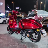 وسپا ویترینی تک نمونه