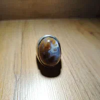 معاوضه  با پرنده گلبسر سهرع قناریی میلورم حلزون