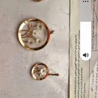 گوشواه حلقه ایی  گمشده