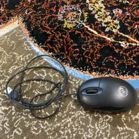 موس و کیبورد|قطعات و لوازم جانبی رایانه|رشت, کوی حسینی|دیوار