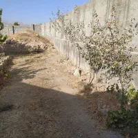 باغچه در کوشک زر|فروش زمین و ملک کلنگی|هشتگرد, کوشک زر|دیوار