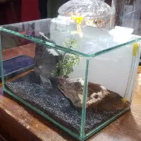 اکواریم کوچک فایتر  و زبرا با درب لولا دار