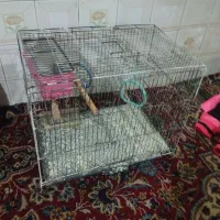 قفسه