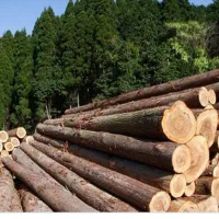 خرید نقدی چوب رضایی