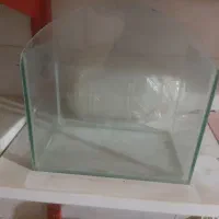 آکواریوم کوچک