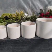 فروش ویژه گل و گلدون برای مناسبت خاص|گل و گیاه طبیعی|اصفهان, باغ فدک|دیوار