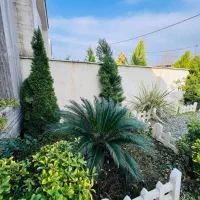 زمین مسکونی جنوبی 200متر  قهنویه مبارکه