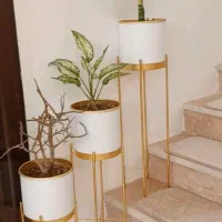 گلدون‌پایه‌‌دارطلایی‌