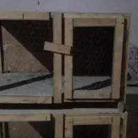 جفت کن کفتر|لوازم جانبی حیوانات|ورامین, خیر آباد|دیوار