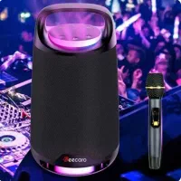 اسپیکر بیکارو مدل GS802