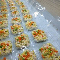 آشپز جویای کار