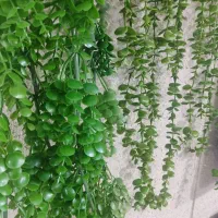 اشتراک  طرح الماس مازپشت کنکوری ودوازدهم تجربی