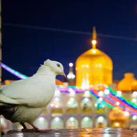 تور زیارتی سیاحتی مشهد مقدس