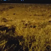 زمین مسکونی ۱۱ قصب زیر حسینیه