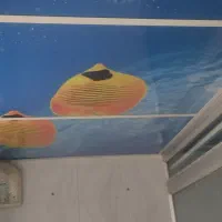 درب فیبری،سقف مجازی ،روشن گیر ،کابینت|مصالح و تجهیزات ساختمان|بیرجند, |دیوار