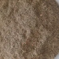 اویشن|خوردنی و آشامیدنی|یاسوج, |دیوار