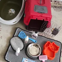 باکس گربه همراه با سایر وسایل